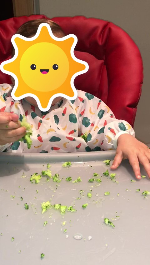 BABY- LED WEANING